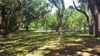 110 W Country Club Dr photo